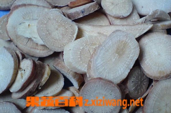 ���߰ٿ�������