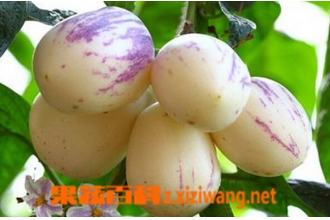 �˲ι��Է� ���˲ι��ĳԷ�