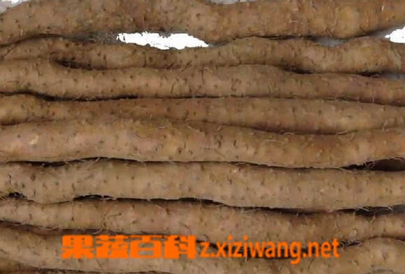 ���߰ٿƻ�ɽҩ