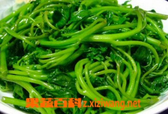 ���߰ٿ��峴���Ĳ�