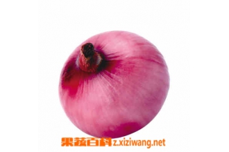 �ϴ�ͷ��Ӫ����ֵ ���ϴ�ͷ�ĺô�