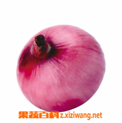 ���߰ٿ�zicongt
