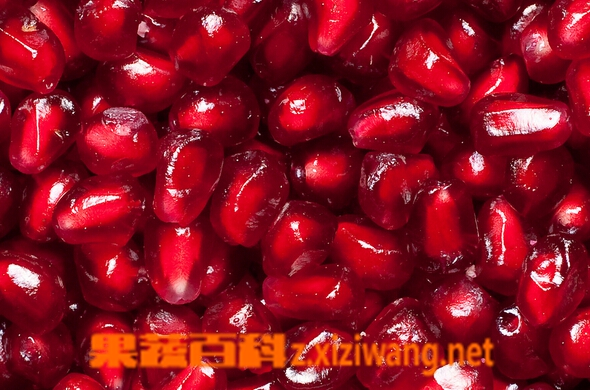 ���߰ٿƺ�ʯ��