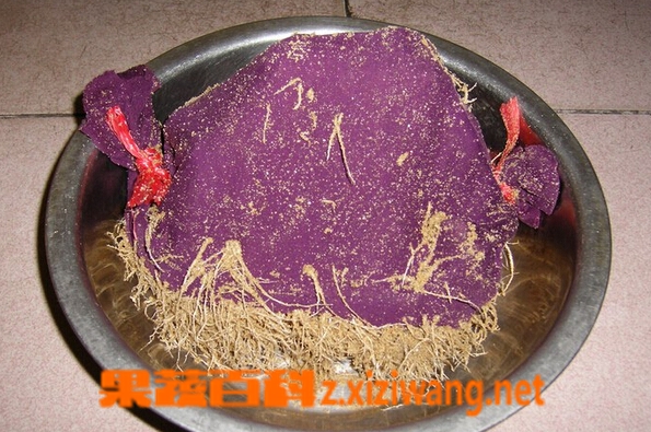 ���߰ٿ�ɳ�ӷ�����