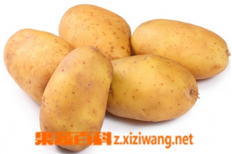 ����������Ӫ����ֵ�ͺô�