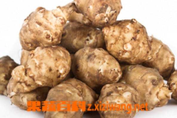 ���߰ٿƵػ����󽪵�����