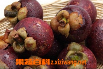 ɽ���Ƥ��ʲô�洦 ɽ��Ƥ�Ĺ�Ч������