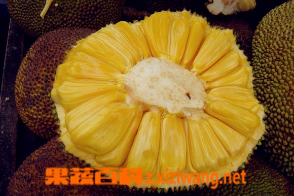 ���߰ٿ�ľ���ܵ�Ӫ����ֵ