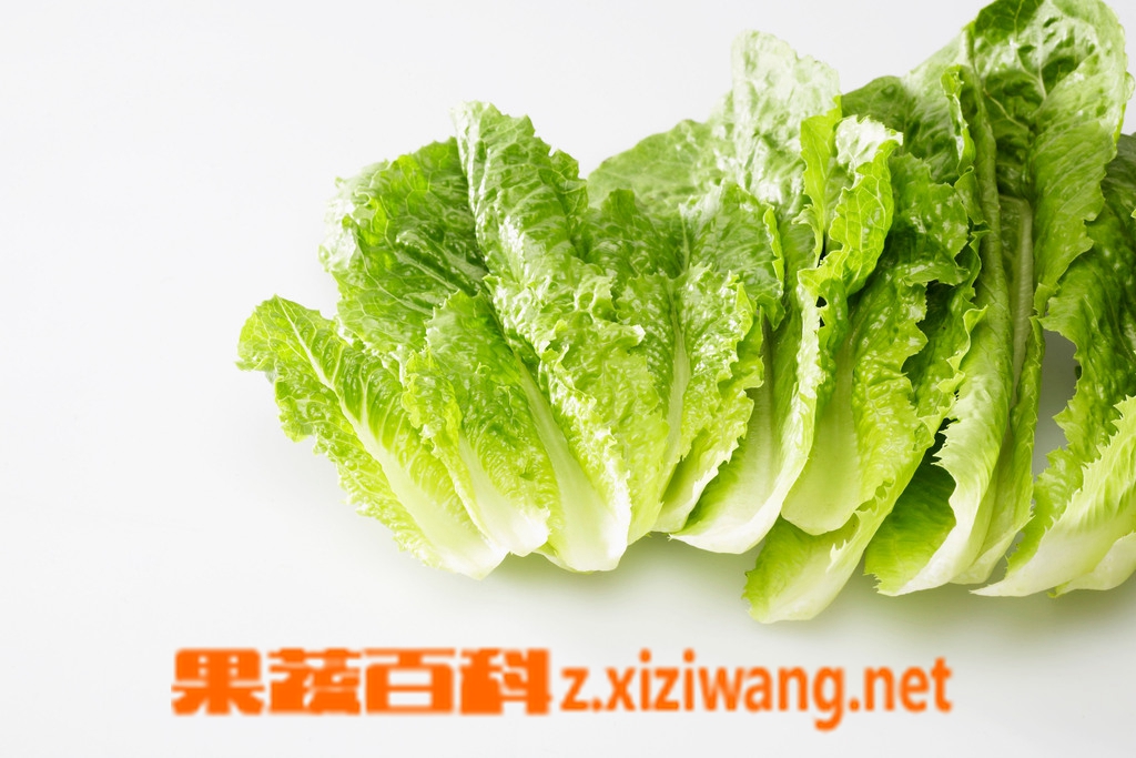 ���߰ٿ�ݫ��Ҷ�ӿ��Գ���