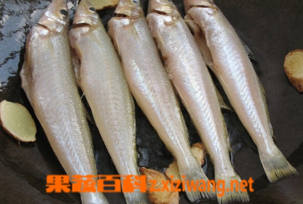 ���߰ٿ�������ô��ճ��