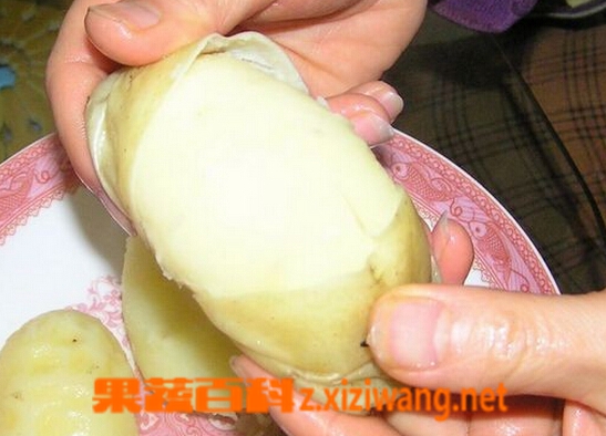 ���߰ٿ���ôȥ����Ƥ