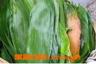 ����Ҷ����ô���� ����Ҷ���淽������