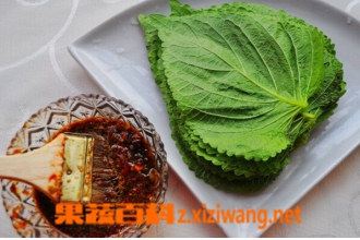 ��������Ҷ��ô�Ժ� ����Ҷ�ĸ��ֳԷ�