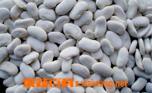 ���߰ٿưױⶹ�Ĺ�Ч�����ü�ʳ�÷���