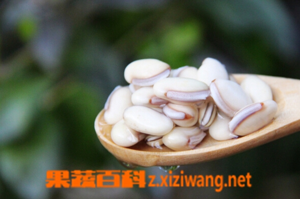 ���߰ٿưױⶹ