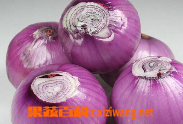 ���߰ٿ�Բ������е�����