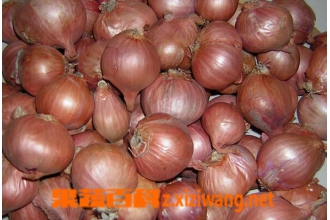 Բ�к�ë�е�����