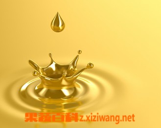 ���߰ٿƲ����͵�Ӫ����ֵ