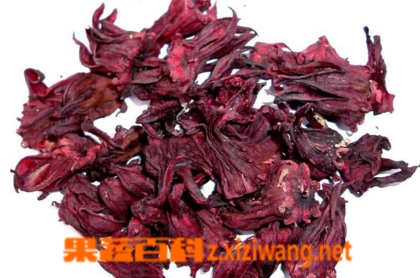 ���߰ٿ����񻨲�ĸ�����