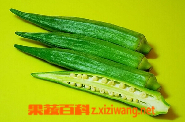 ���߰ٿ�����Ĺ�Ч������