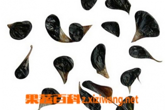 �ߵ��Ĺ�Ч������ �ߵ���ҩ�ü�ֵ