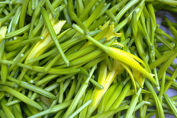 果蔬百科金针菜是黄花菜吗