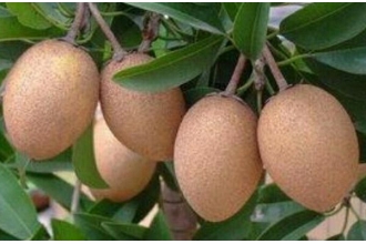 ���Ĺ���ô�� ���Ĺ��ĳԷ�����