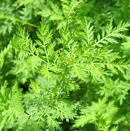 ���߰ٿ������������ȫ