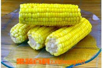 ʲôʳ������߼����� �����Ӽ�������ʳ�����