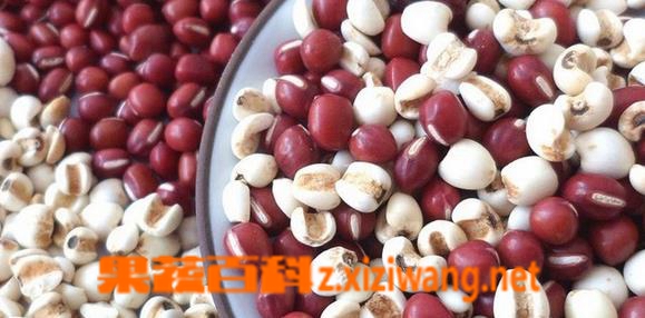 ���߰ٿ�޲�׺춹�������