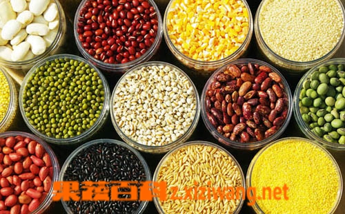 ���߰ٿ���������������