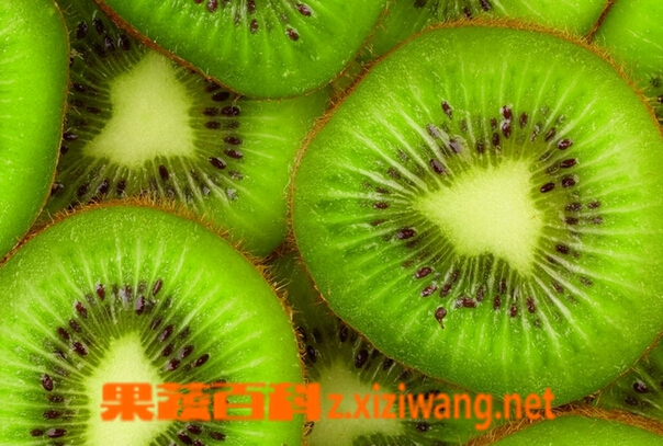 ���߰ٿƳ�ʲôʳ��������