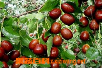 ʹ����ʲôˮ���� Ů������