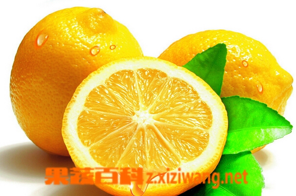 ���߰ٿ����ʵĳ����Է��빦Ч
