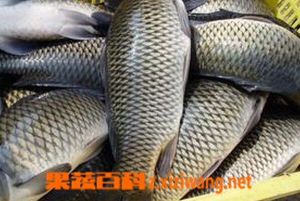 ���߰ٿƲ���Ĺ�Ч������