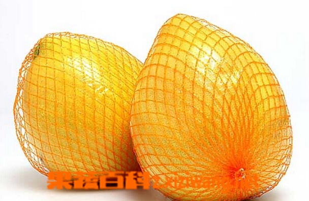 ���߰ٿ��и��ܳ�������