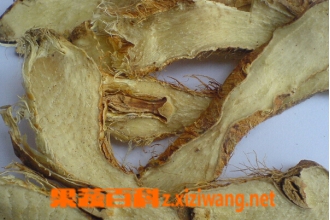 ֪ĸ�Ĺ�Ч���� ֪ĸ��ʹ�ý���
