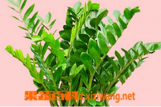 ��Ǯ���Ĺ�Ч������ ��Ǯ������;