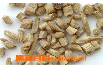 ��ҩ��ţϥ��ζ�龭 ��ţϥ��Ч���ü�Ӧ��