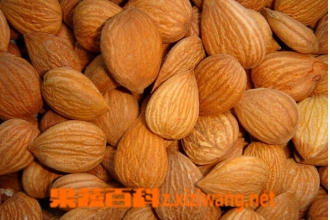 ��������ô����ȷ ������ô�ԲŰ�ȫ