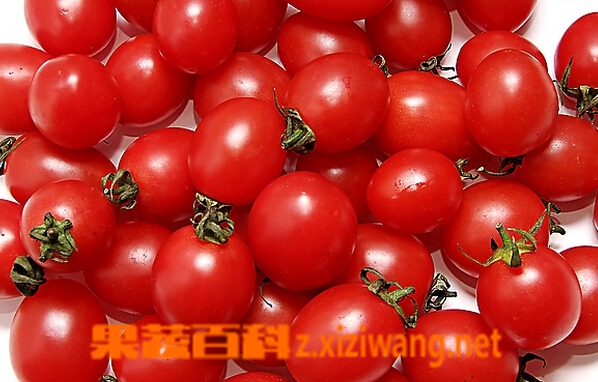 ���߰ٿ�ʥŮ����Ӫ����ֵ�빦Ч