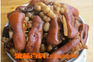 ����������������ó� ���������ŵĳ�������