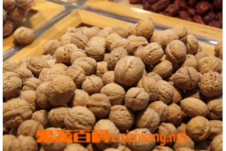 ���Խ��Գ�ʲô ���Խ���ʳ���Ƽ�