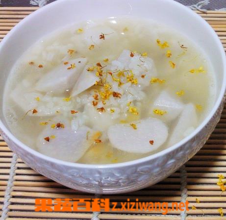 ���߰ٿ���ͷ�������