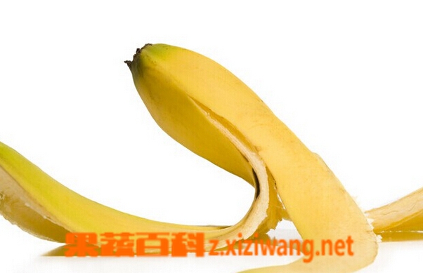 ���߰ٿ��㽶Ƥ��ҩ�ü�ֵ