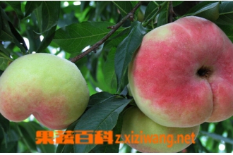 ���ҵĹ�Ч������ ���ҵ�Ӫ