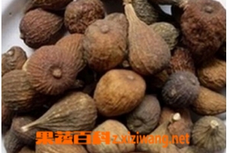 �۹��Ĺ�Ч������ �۹���ҩ�ü�ֵ