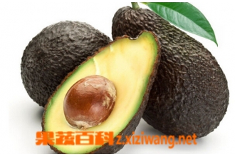 ţ�͹���Ӫ����ֵ��ʳ�ù�Ч