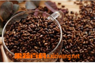 �����ӵĸ����� �����ӵ�ʹ�ý���