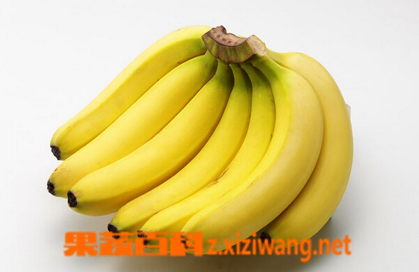 ���߰ٿ�ÿ����㽶���ߴ�ô�